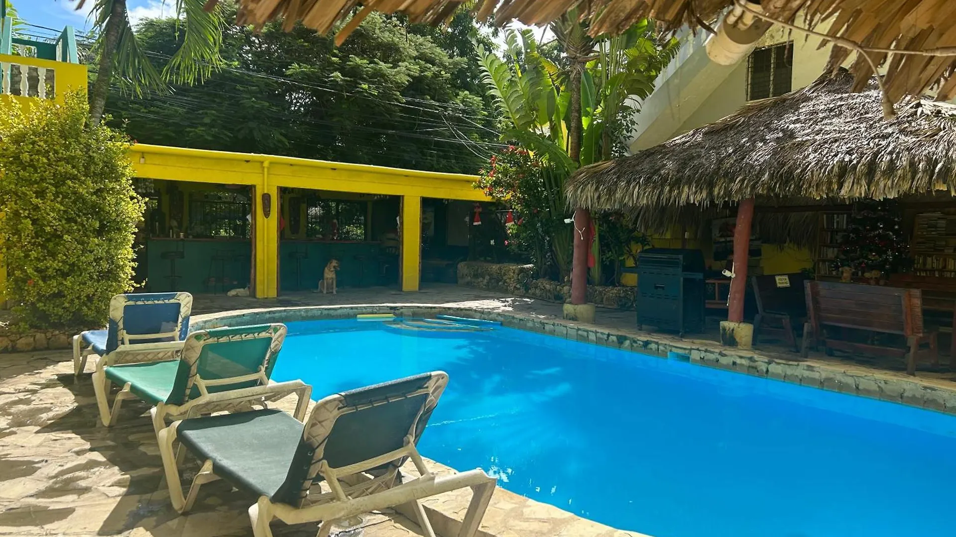 Coco Hotel And Hostel Sosúa