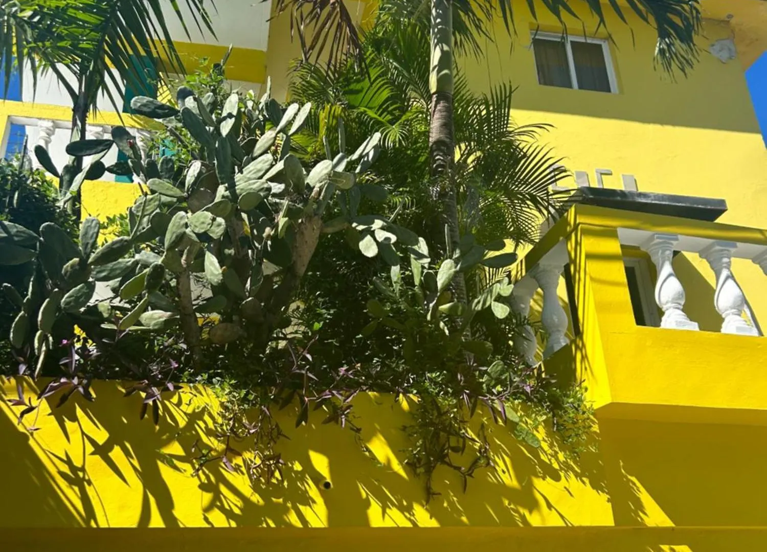Coco Hotel And Hostel Sosúa